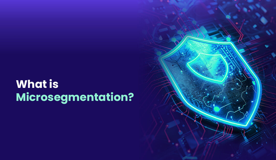 What is Microsegmentation