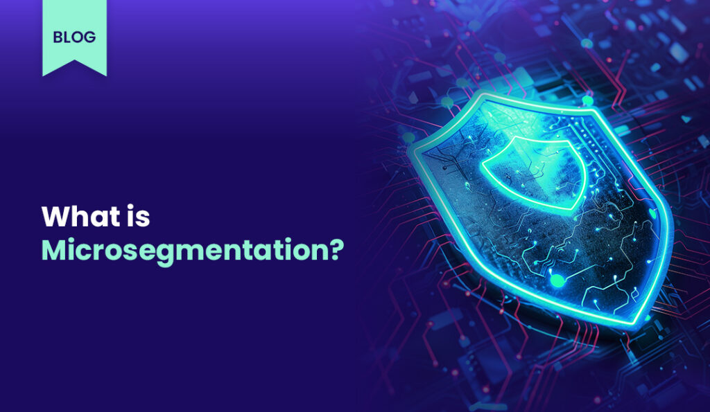 blog kapak gorseli Microsegmentation