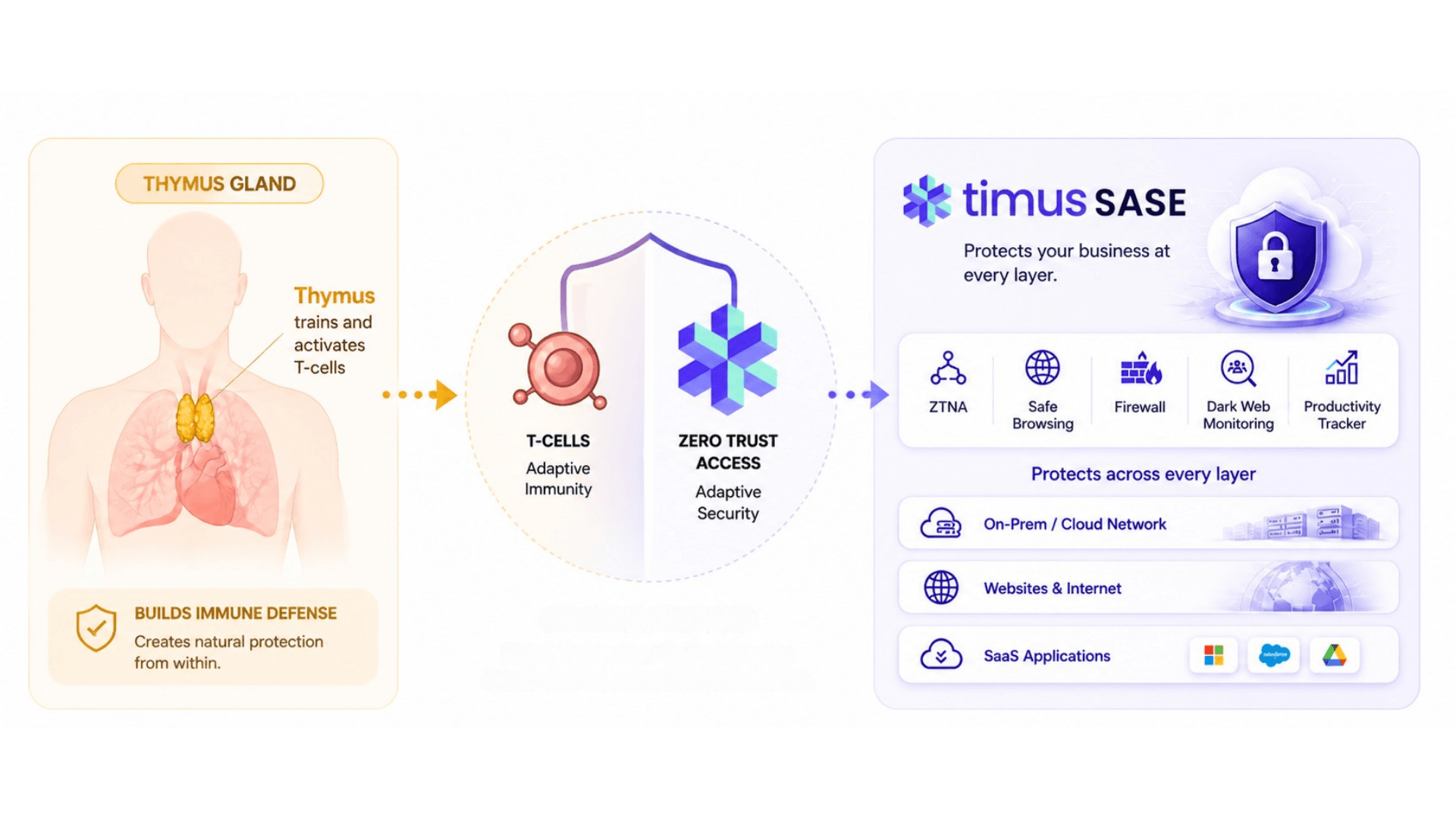Why Timus Image Left