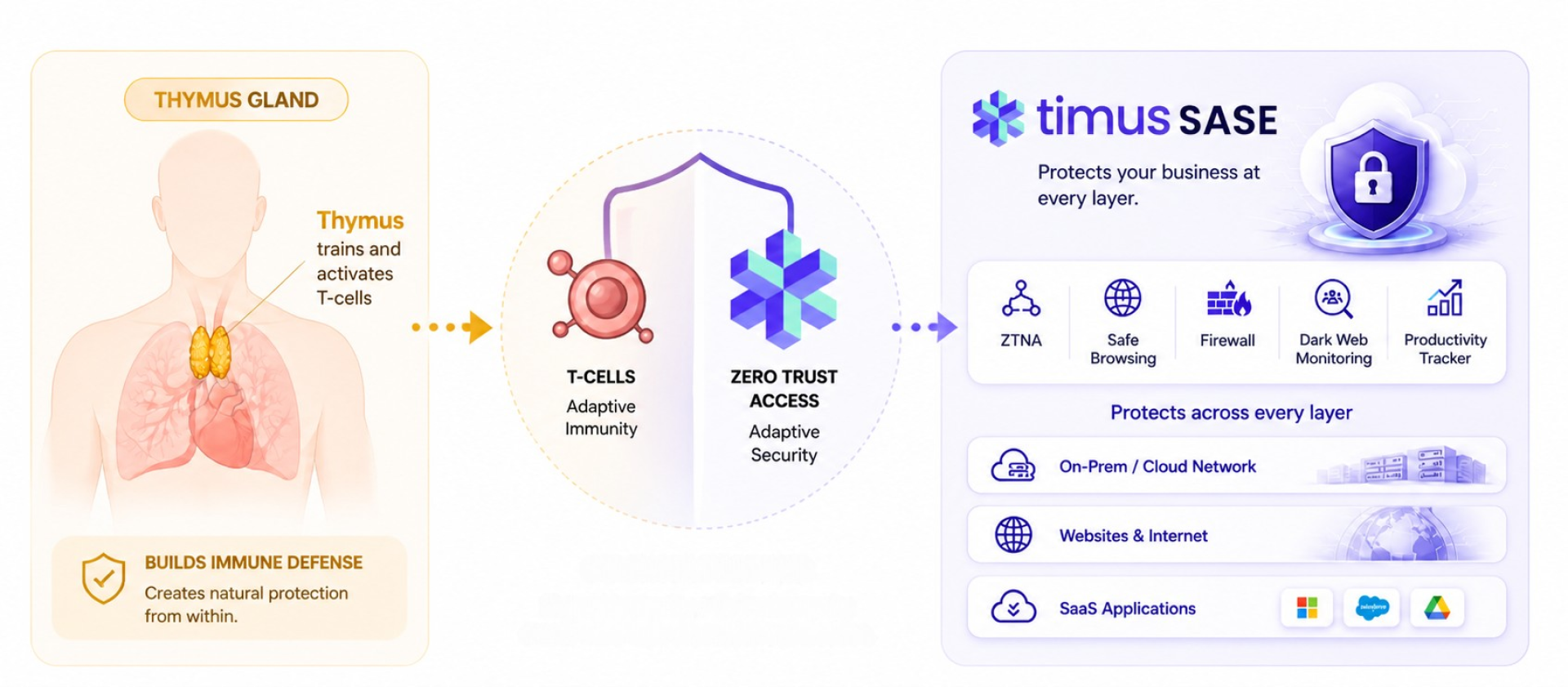 why timus image left image 1